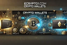 ecrypto1.com Crypto Wallets