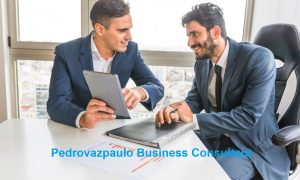 Pedrovazpaulo Business Consulting