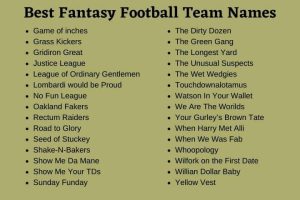 Inappropriate Fantasy Football Team Names