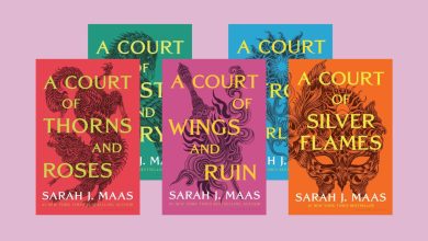 A Court of Thorns and Roses Book 6